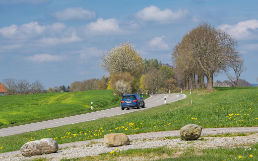 Grass and flower path  from Chrome web store to be run with OffiDocs Chromium online