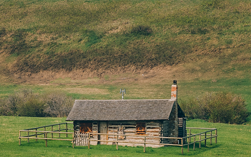Grass field Theme  from Chrome web store to be run with OffiDocs Chromium online