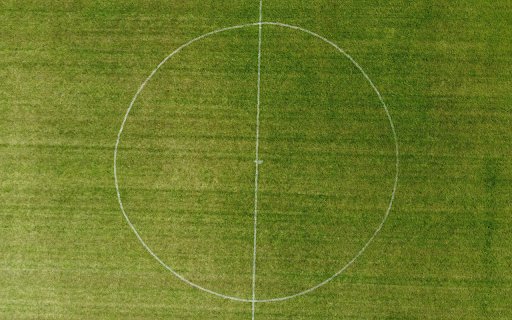 Grass football field and goal lines  from Chrome web store to be run with OffiDocs Chromium online