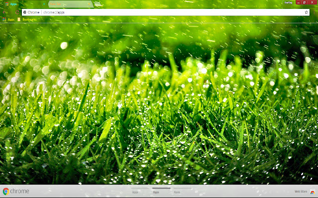 Grass Green Photography  from Chrome web store to be run with OffiDocs Chromium online