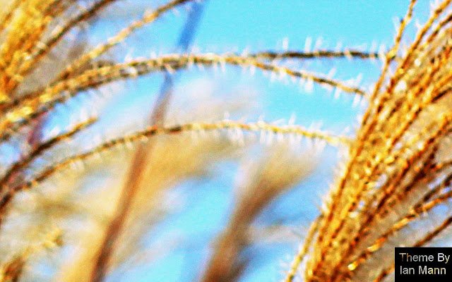 Grassland 2.2  from Chrome web store to be run with OffiDocs Chromium online