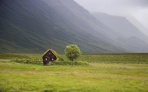 Grass tent  from Chrome web store to be run with OffiDocs Chromium online