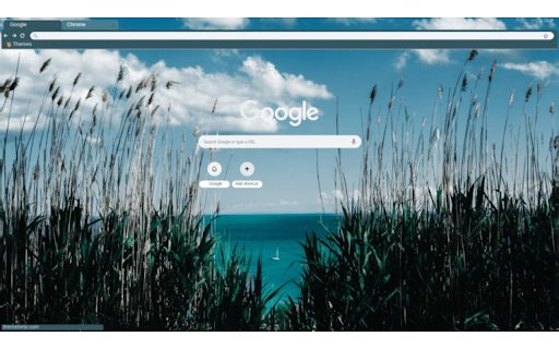 Grassy Shore  from Chrome web store to be run with OffiDocs Chromium online