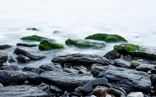 Gray Rocks With Moss  from Chrome web store to be run with OffiDocs Chromium online