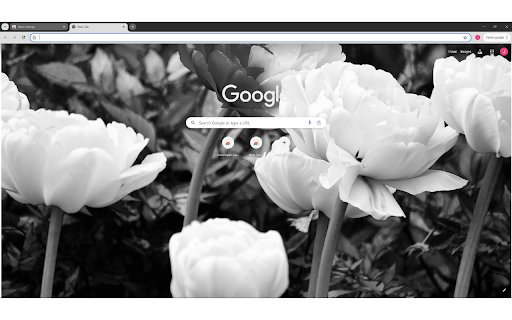 Grayscale Photography of Chinese Peonies  from Chrome web store to be run with OffiDocs Chromium online