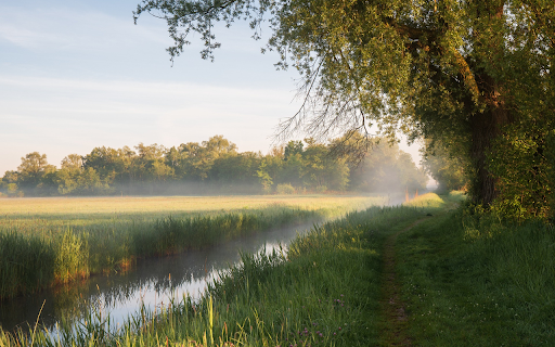 Green bamboo fields and fields  from Chrome web store to be run with OffiDocs Chromium online