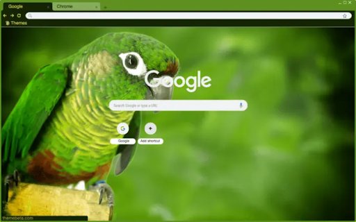 Green Cheek Conure  from Chrome web store to be run with OffiDocs Chromium online