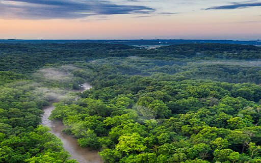 Green Forest  from Chrome web store to be run with OffiDocs Chromium online