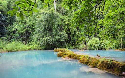 green forest and stream from Chrome web store to be run with OffiDocs Chromium online green forest and stream from Chrome web store to be run with OffiDocs Chromium online