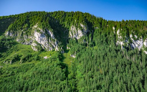 Green forest green mountain  from Chrome web store to be run with OffiDocs Chromium online