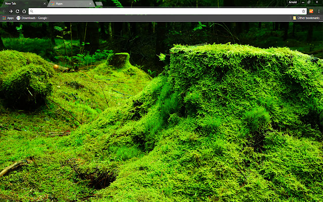 Green Forestry de la boutique en ligne Chrome sera exécuté avec OffiDocs Chromium en ligne