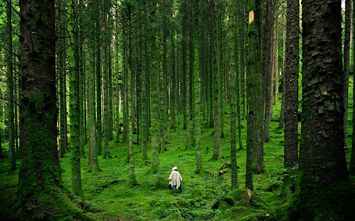 Green Forest Trees  from Chrome web store to be run with OffiDocs Chromium online