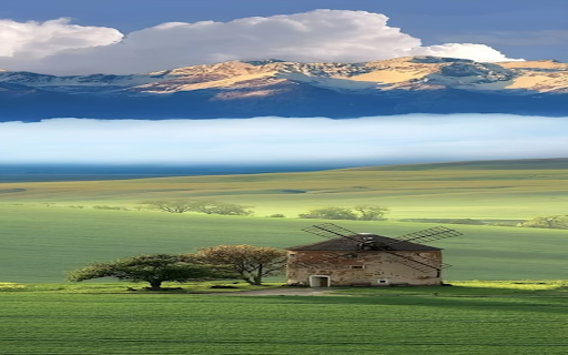 Green grass field wallpaper  from Chrome web store to be run with OffiDocs Chromium online