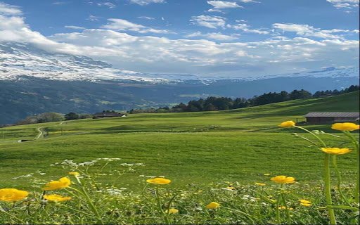 Green grass field wallpaper  from Chrome web store to be run with OffiDocs Chromium online