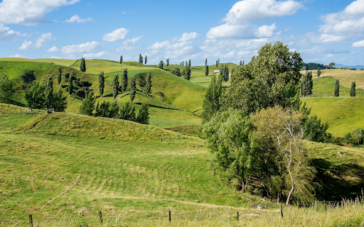 Green grass hills  from Chrome web store to be run with OffiDocs Chromium online