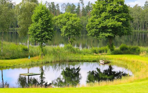 Green grass lake  from Chrome web store to be run with OffiDocs Chromium online