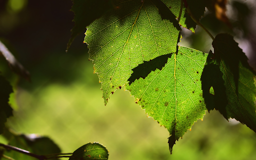 Green leaf  from Chrome web store to be run with OffiDocs Chromium online