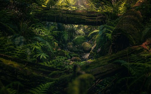 Green Mossy Rock Stream  from Chrome web store to be run with OffiDocs Chromium online