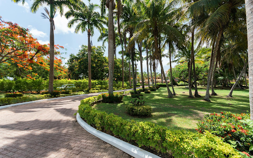 Green park from Chrome web store to be run with OffiDocs Chromium online Green park from Chrome web store to be run with OffiDocs Chromium online