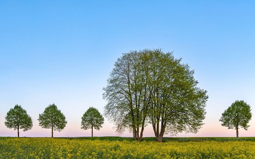 Green plants in the mustard garden from Chrome web store to be run with OffiDocs Chromium online Green plants in the mustard garden from Chrome web store to be run with OffiDocs Chromium online