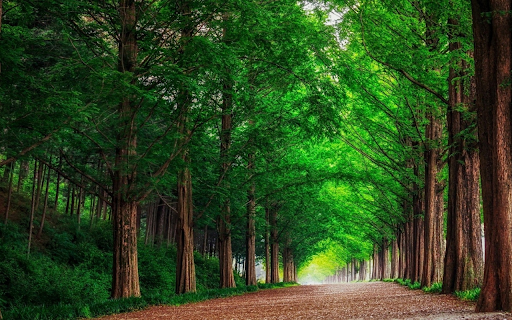 Green road  from Chrome web store to be run with OffiDocs Chromium online