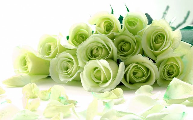Green Roses dal negozio web di Chrome verrà eseguito con OffiDocs Chromium online