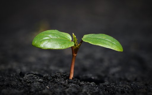 Green sprouts  from Chrome web store to be run with OffiDocs Chromium online