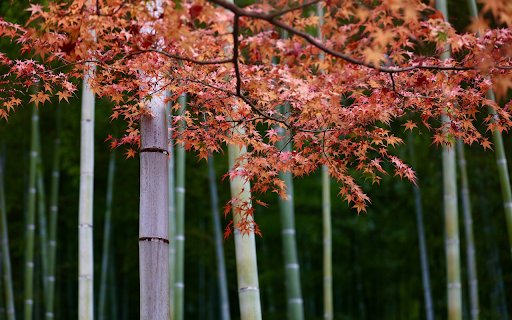 Green stem and red leaves  from Chrome web store to be run with OffiDocs Chromium online Green stem and red leaves  from Chrome web store to be run with OffiDocs Chromium online