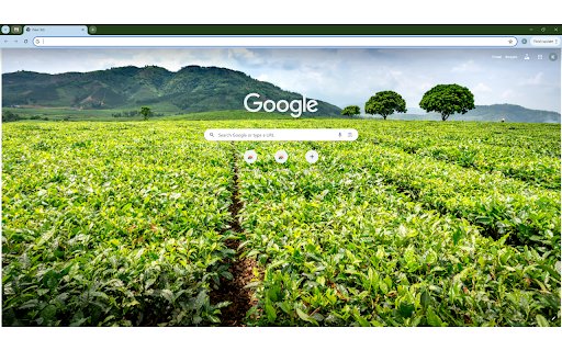Green tea shrubs and trees against massive  from Chrome web store to be run with OffiDocs Chromium online