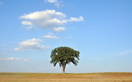 Green trees  from Chrome web store to be run with OffiDocs Chromium online