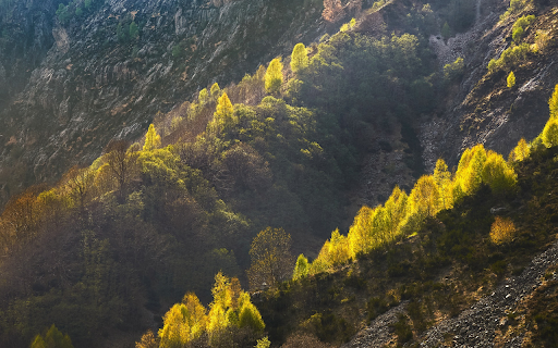 Green trees on the mountain  from Chrome web store to be run with OffiDocs Chromium online