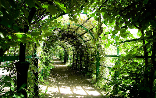 Green tunnel  from Chrome web store to be run with OffiDocs Chromium online