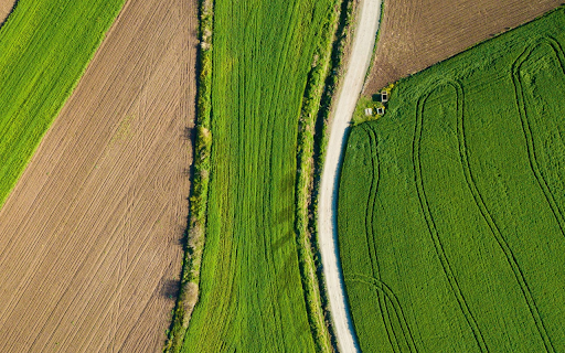 Green vegetable field  from Chrome web store to be run with OffiDocs Chromium online