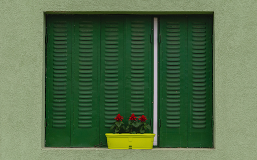 Green window and small flower pot  from Chrome web store to be run with OffiDocs Chromium online