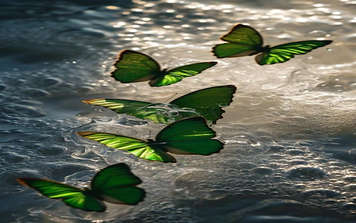 Green winged butterflies wallpaper  from Chrome web store to be run with OffiDocs Chromium online