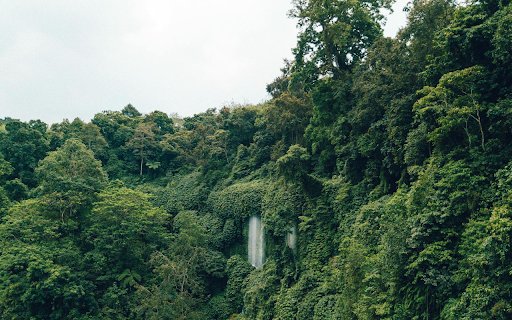 green wood  from Chrome web store to be run with OffiDocs Chromium online green wood  from Chrome web store to be run with OffiDocs Chromium online