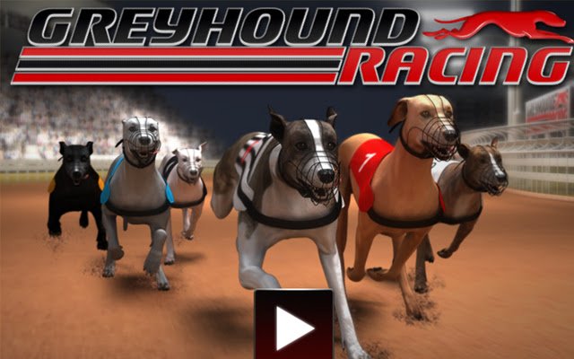 يتم تشغيل لعبة Greyhound Racing Game من متجر Chrome الإلكتروني مع OffiDocs Chromium عبر الإنترنت