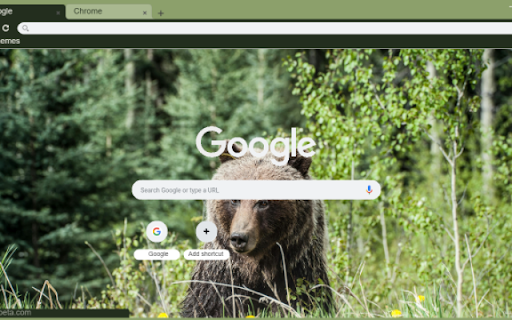 Grizzly Bear  from Chrome web store to be run with OffiDocs Chromium online
