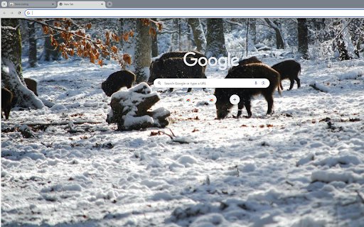 group of wild boars foraging in the snow from Chrome web store to be run with OffiDocs Chromium online group of wild boars foraging in the snow from Chrome web store to be run with OffiDocs Chromium online