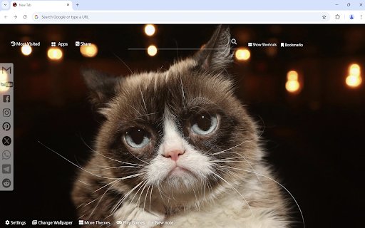 Grumpy Cat Wallpaper  from Chrome web store to be run with OffiDocs Chromium online