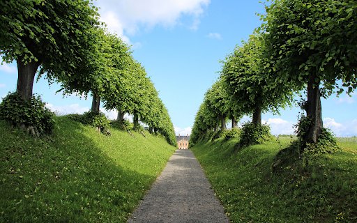 Guards of trees  from Chrome web store to be run with OffiDocs Chromium online