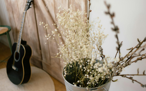 Guitar and Flowers  from Chrome web store to be run with OffiDocs Chromium online