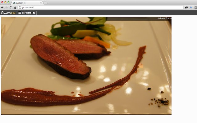Gyadoblock  from Chrome web store to be run with OffiDocs Chromium online