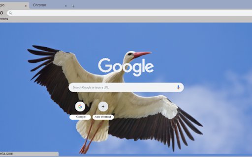 Hac  from Chrome web store to be run with OffiDocs Chromium online
