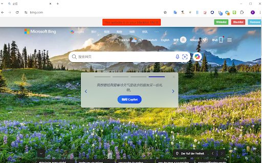 Hacker Asset Logger 黑客资产记录器  from Chrome web store to be run with OffiDocs Chromium online