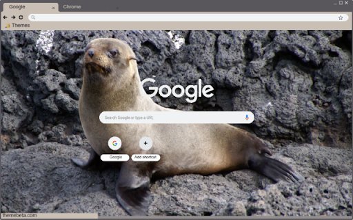 Hai cau  from Chrome web store to be run with OffiDocs Chromium online
