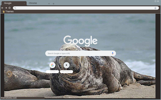 Hai cau xam  from Chrome web store to be run with OffiDocs Chromium online