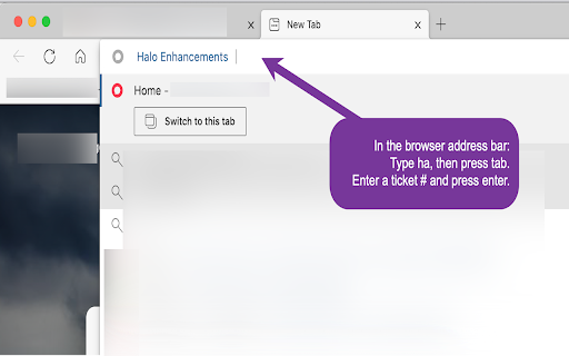 Halo Enhancements  from Chrome web store to be run with OffiDocs Chromium online