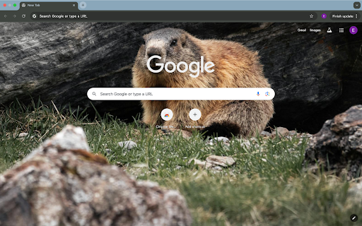 Hamster  from Chrome web store to be run with OffiDocs Chromium online