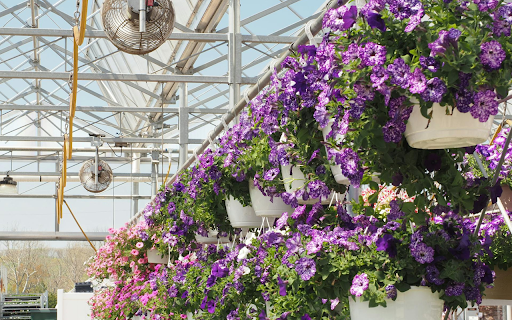 Hanging Flower Baskets  from Chrome web store to be run with OffiDocs Chromium online